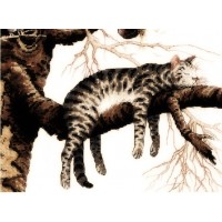 Стероидные курсы: проблемы – решения Стероидные курсы: проблемы – решения