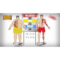 Сжечь жир эффективно и быстро не теряя мышц Сжечь жир эффективно и быстро не теряя мышц