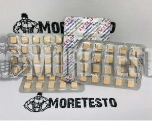 Купить ЭСКУЛАП Балкан