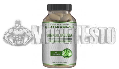 Купить Гинкго Билоба